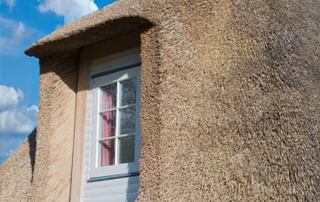 Three Burrows thatch roof disadvantages